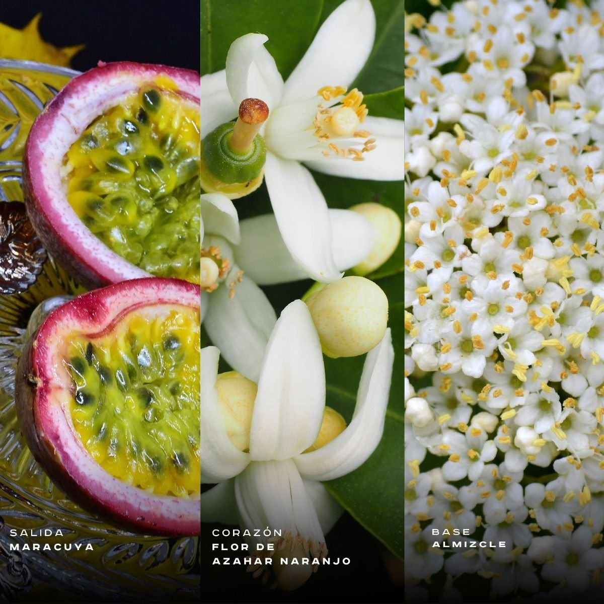 151911-c-yara-tous-edp-100ml YARA TOUS EDP 100ML