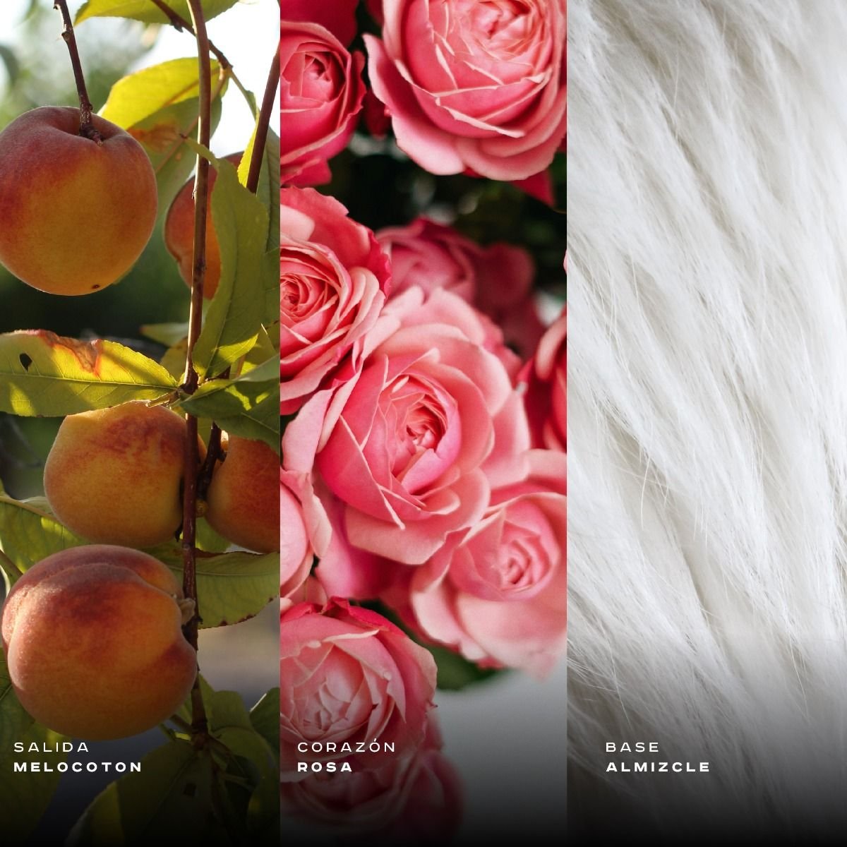 155108-c-club-de-nuit-woman-edp-105ml CLUB DE NUIT WOMAN EDP 105ML