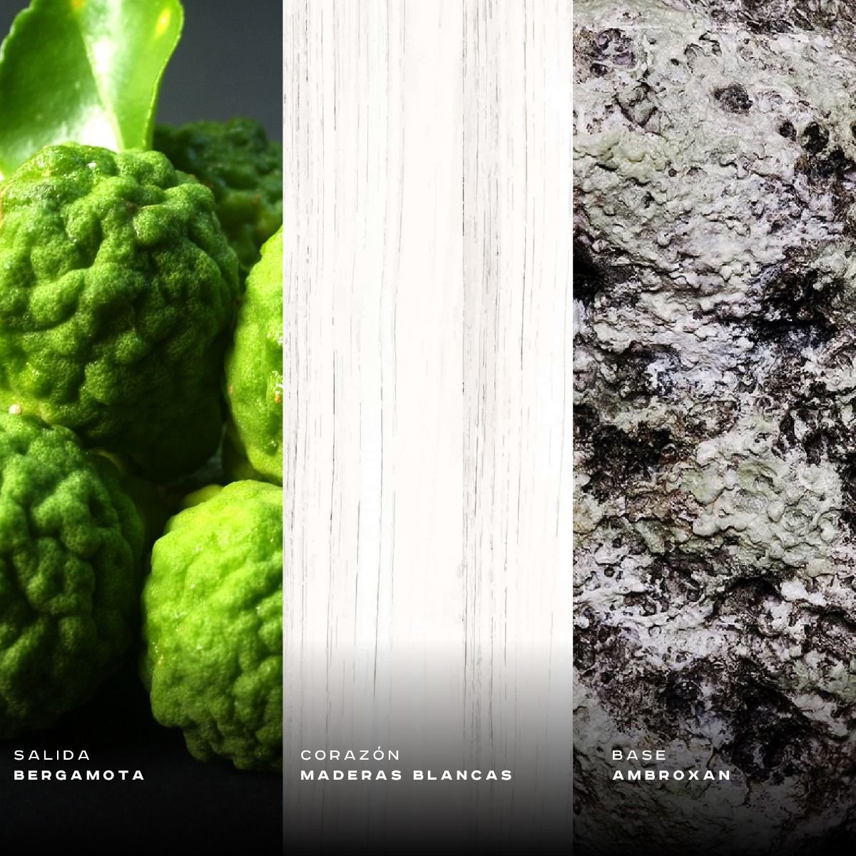 CLUB DE NUIT MILESTONE EDP 105ML