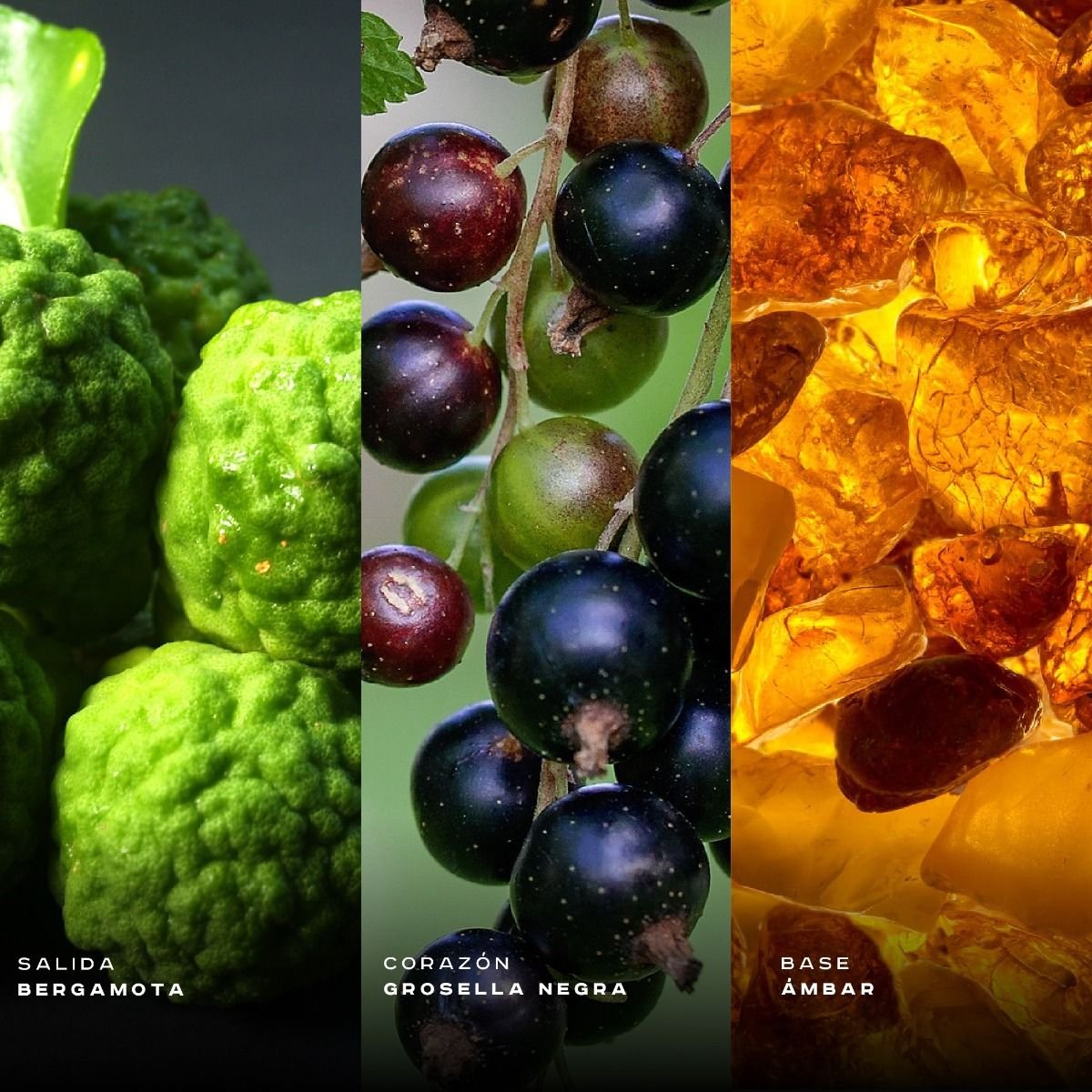 156236-c-9am-coral-pour-femme-edp-100ml_1 9AM CORAL POUR FEMME EDP 100ML