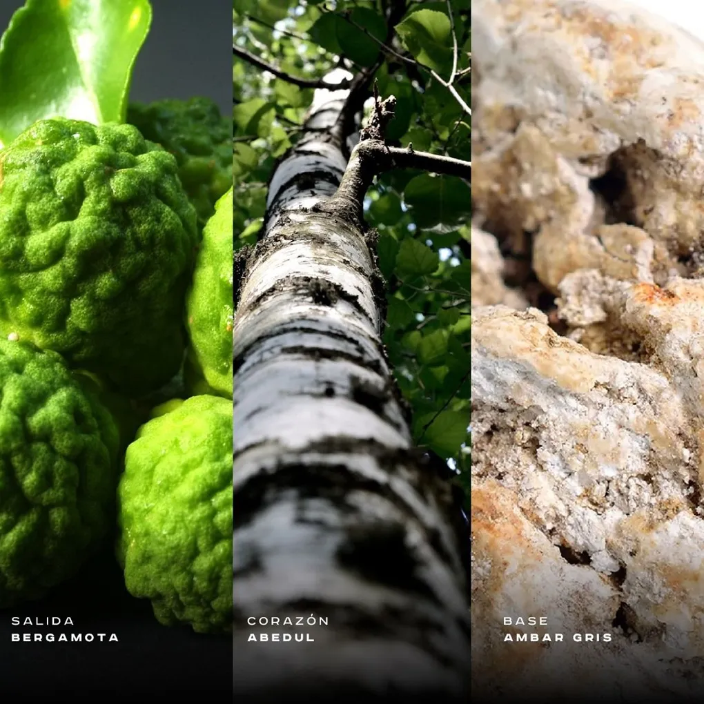 CLUB DE NUIT INTENSE MEN EDT 105ML