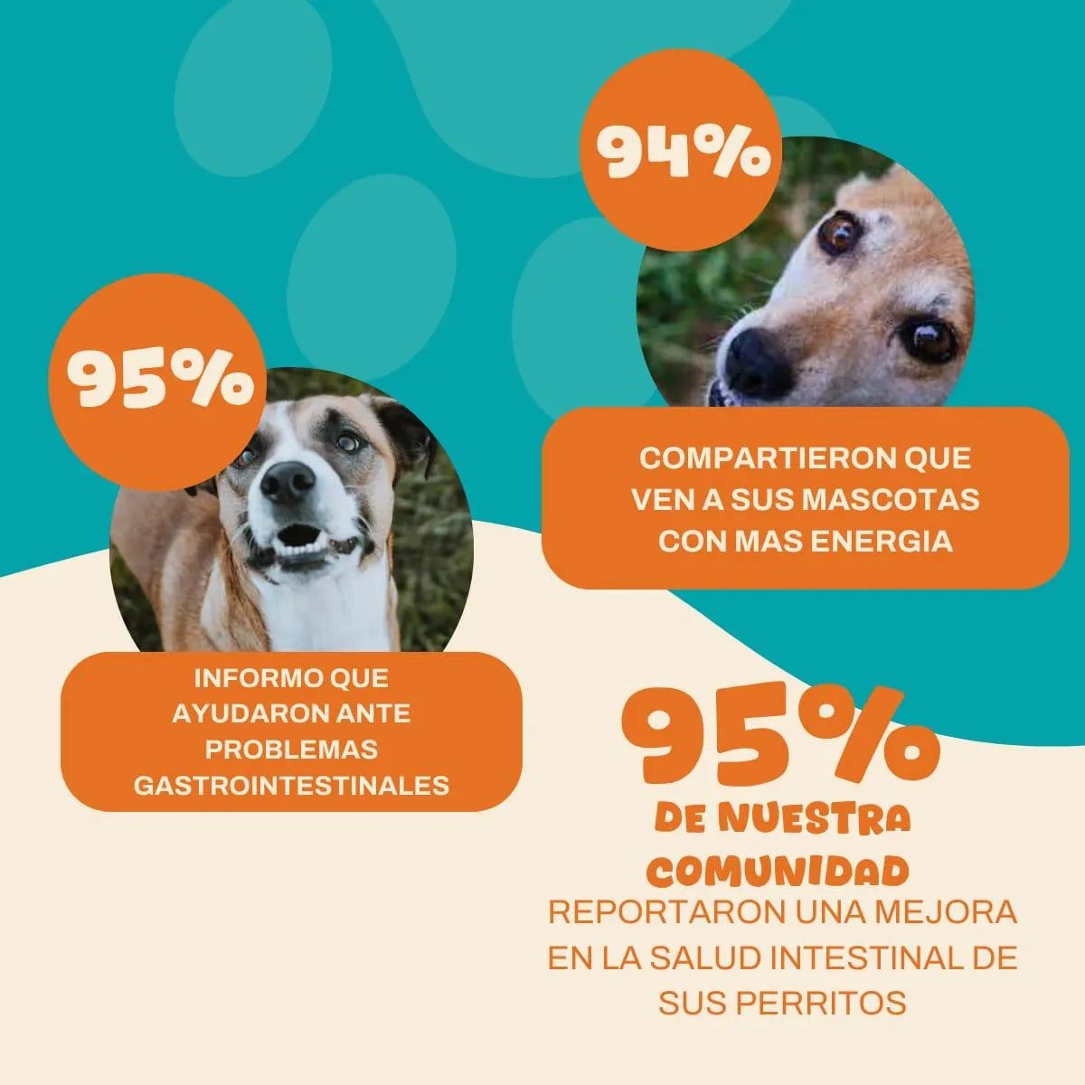 Probióticos Para Perros Ruffitos