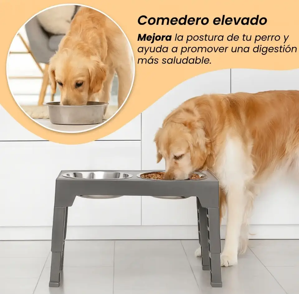 Comedero Bebedero Elevado Altura Ajustable